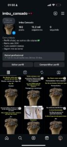 Instagram 15 Mil Seguidores